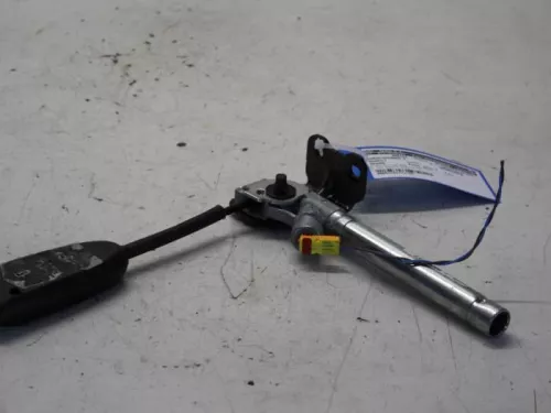 Gordelspanner rechts-7881074