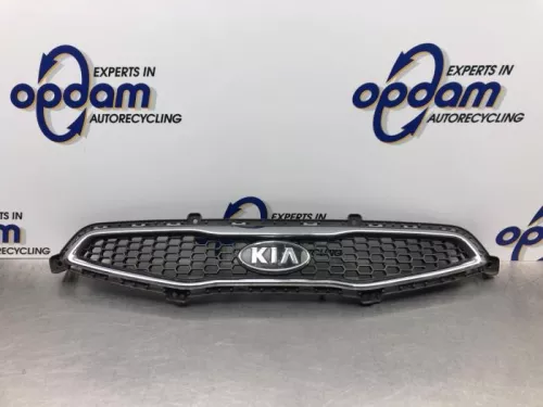 Grille-8118144