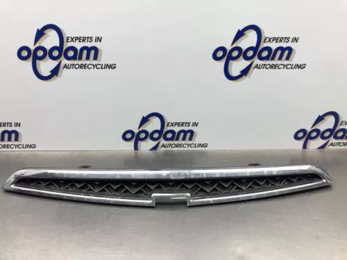 Grille-8206281