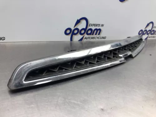 Grille-8206281 (21174114)
