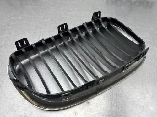 Grille-8221220 (21136049)