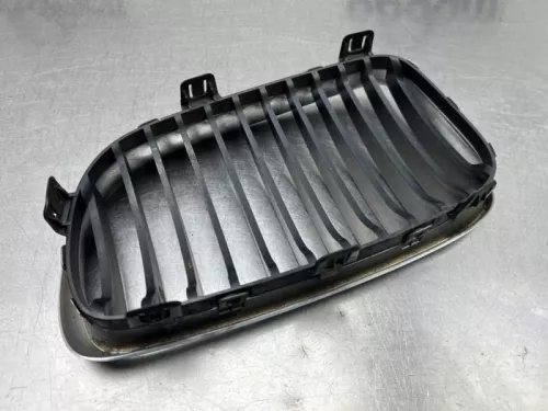 Grille-8221220 (21136049)
