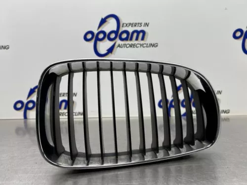 Grille-8221220 (21136049)