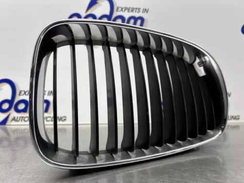Grille-8221220 (21136049)