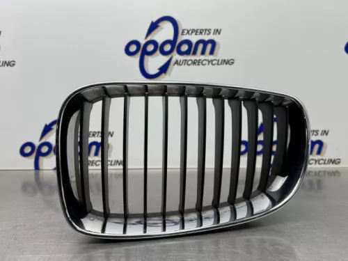 Grille-8221220 (21136049)