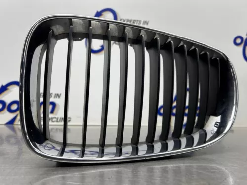 Grille-8221220 (21136049)