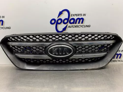 Grille-8217675 (21461551)