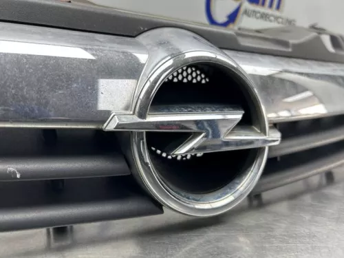 Grille-8317997 (22625464)