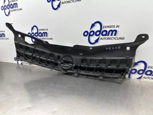 Grille-8317997 (22625464)