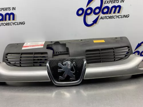 Grille-8250669 (21498953)