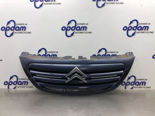 Grille-8267789 (21792191)
