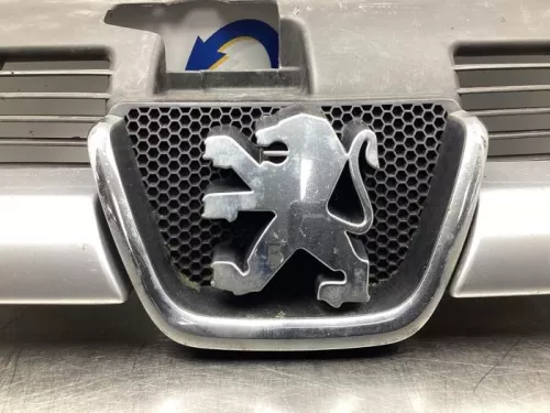 Grille-7995660 (18509964)