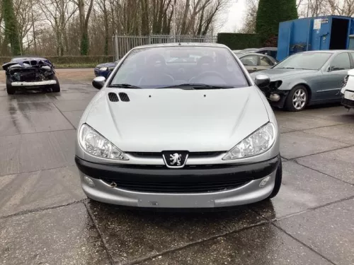 Grille-7995660 (18509964)