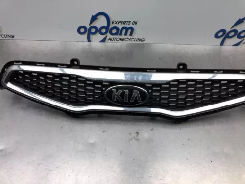 Grille-7915330