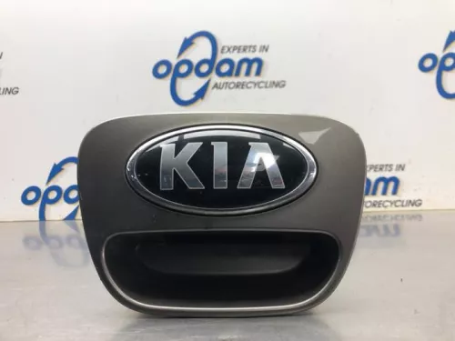 Handgreep Achterklep-8056784