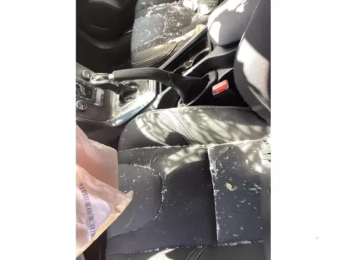 Handremhendel-8179726