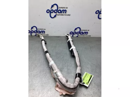 Hemel Airbag-8300843 (22618793)