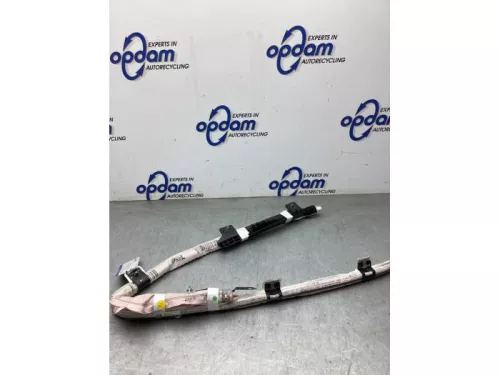 Hemel Airbag-8300843 (22618793)