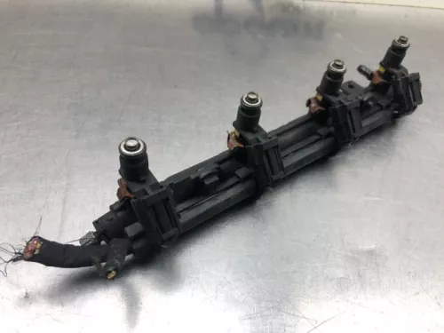 Injector (benzine injectie)-8096684 (20411517)