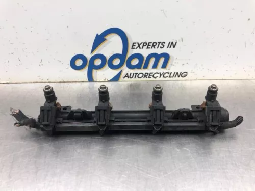 Injector (benzine injectie)-8096684 (20411517)