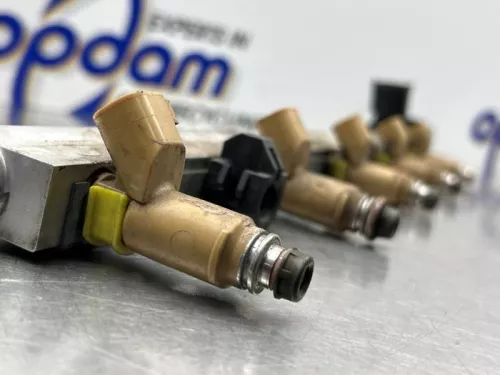 Injector (benzine injectie)-8260013 (22078716)