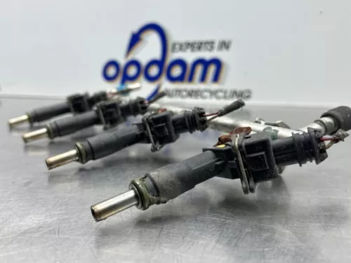 Injector (benzine injectie)-8304718 (22388348)