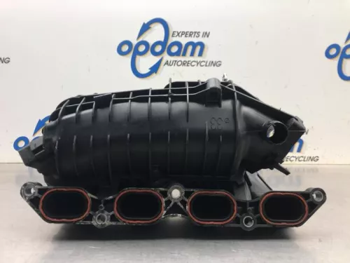 Inlaatspruitstuk-8126851