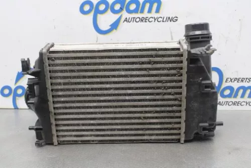 Intercooler-8074570 (20509530)