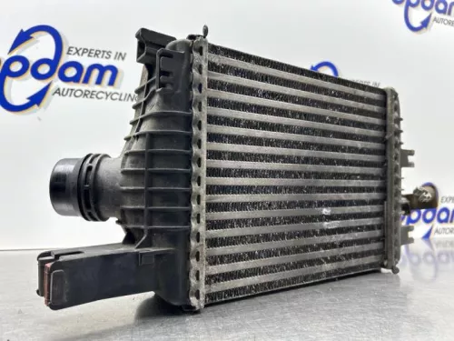 Intercooler-8152307 (21672480)
