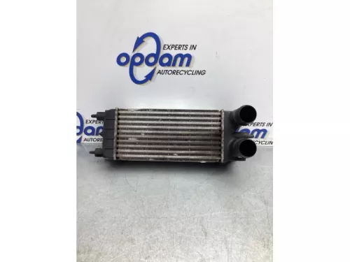 Intercooler-7868124 (17557928)