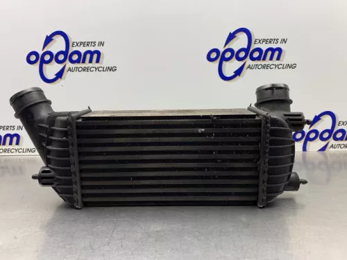 Intercooler-8266228 (21760254)