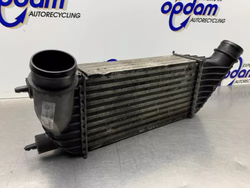 Intercooler-8266228 (21760254)