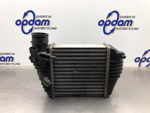 Intercooler-8199579 (21809907)