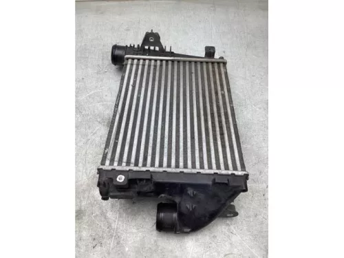 Intercooler-8103469 (21534629)
