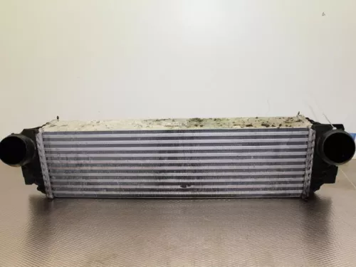 Intercooler-7581020 (6109791)