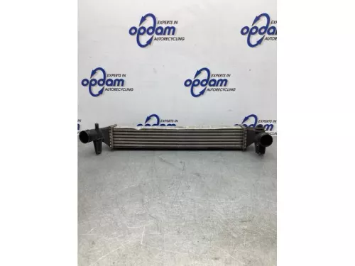 Intercooler-7941733 (18644397)