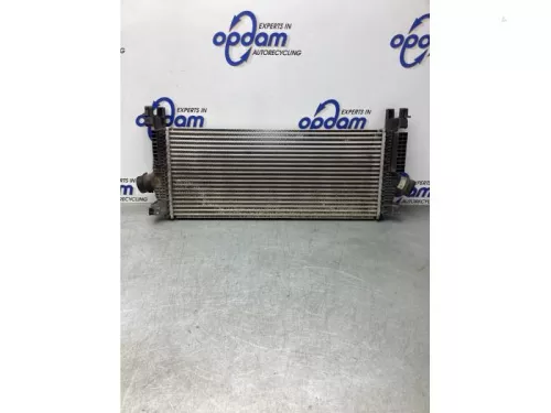 Intercooler-7739445