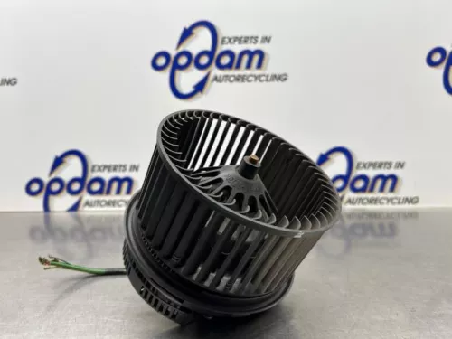Kachel Ventilatiemotor-8260013 (22076339)